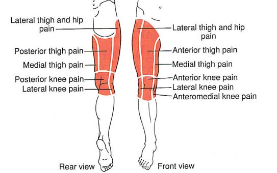 View Sudden Sharp Pain In Lower Back And Hip Pics Betty G Berger